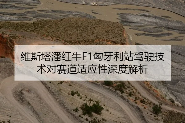 维斯塔潘红牛F1匈牙利站驾驶技术对赛道适应性深度解析