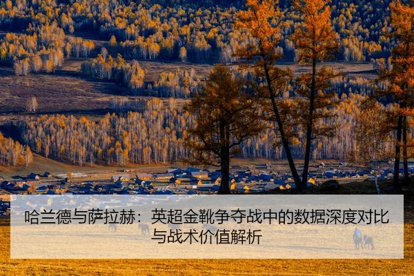 哈兰德与萨拉赫：英超金靴争夺战中的数据深度对比与战术价值解析