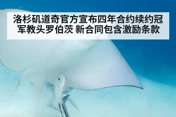 洛杉矶道奇官方宣布四年合约续约冠军教头罗伯茨 新合同包含激励条款